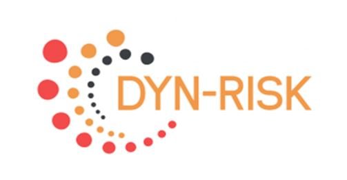 Dyn-Risk logo